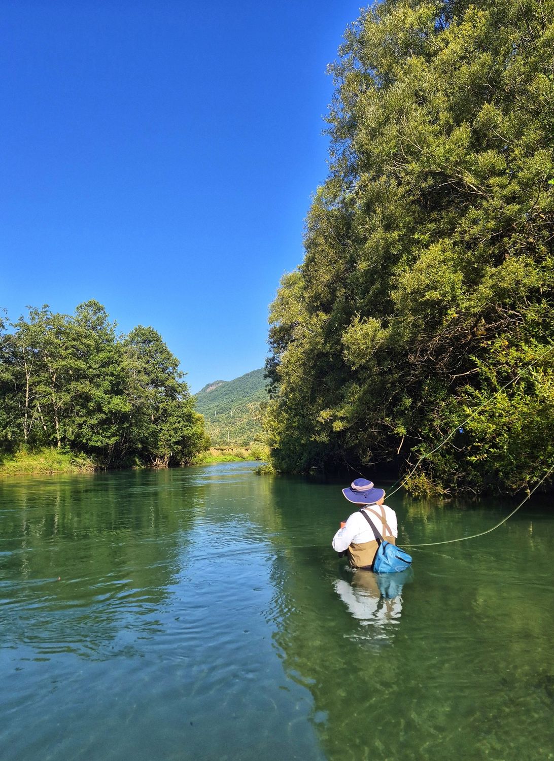 An angler wading and fly-casting on the river, framed by trees and mountains