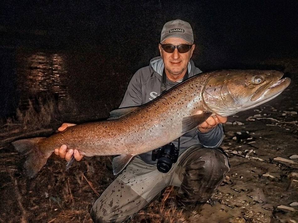 A big huchen held up on the riverbank at night