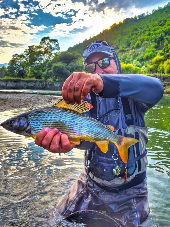 An angler with a grayling at sunset on the river