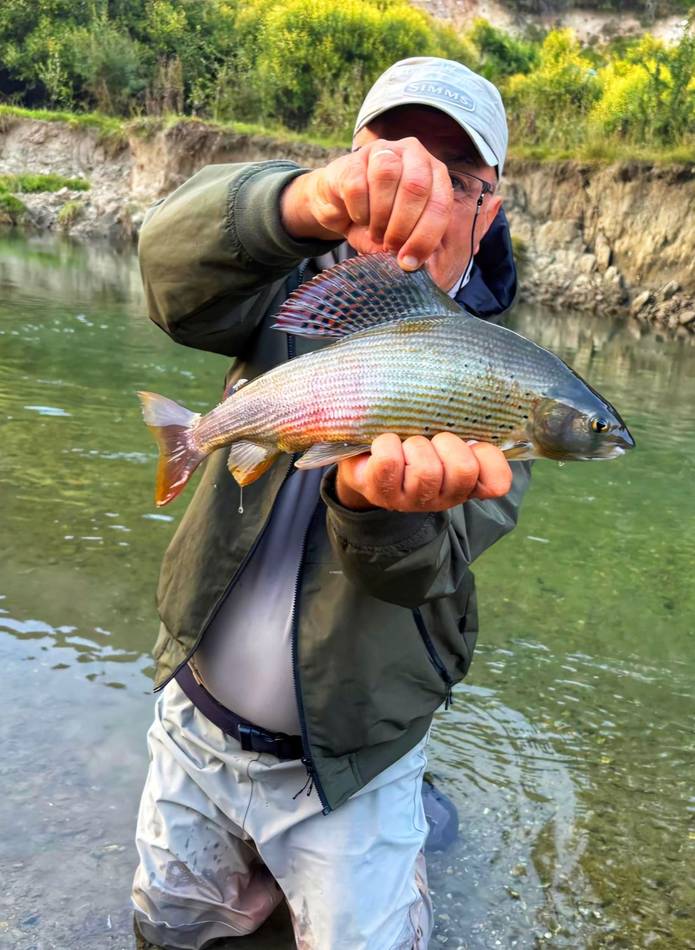 An angler holding a grayling in the shallows