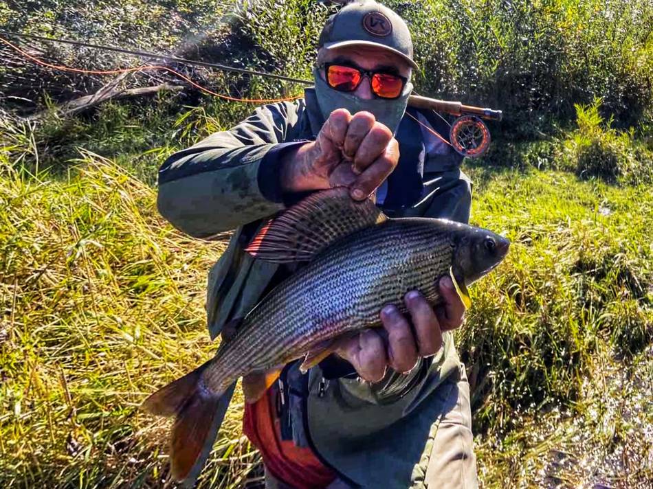 An angler holding up a big grayling