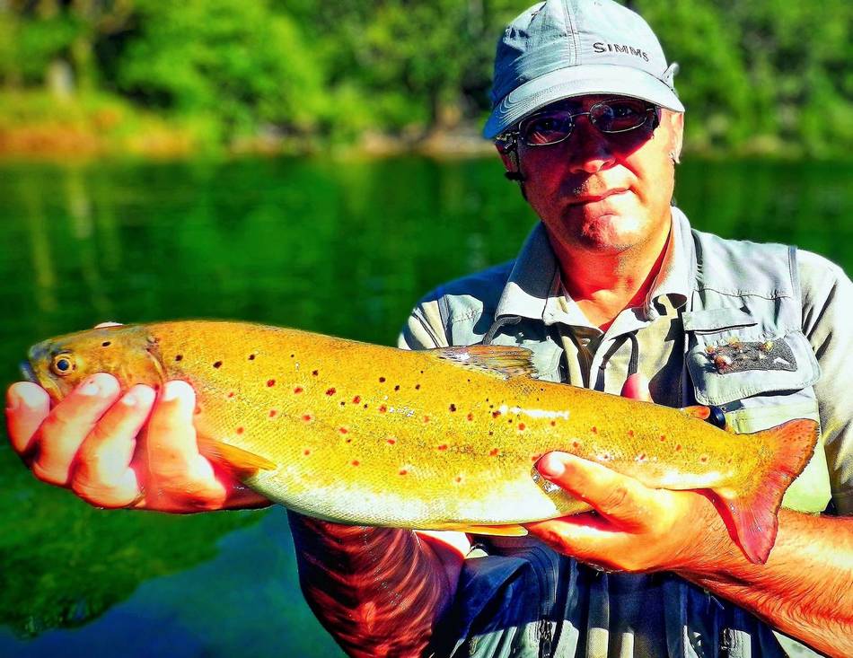 An angler holding a big brown trout