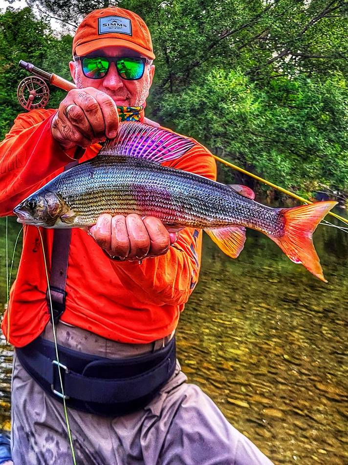 An angler holding a grayling with a rainbow-coloured dorsal fin