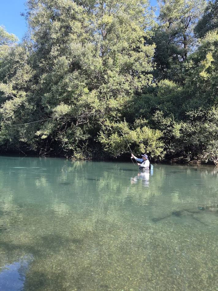 Fishing beneath the willows