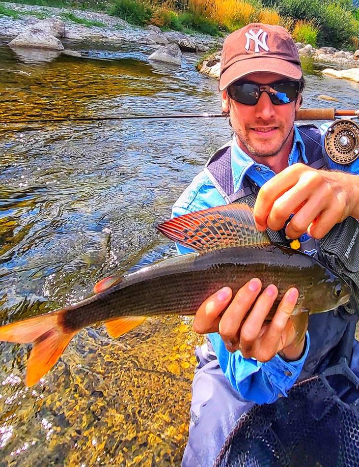 A guest showing his grayling's red-spotted dorsal fin