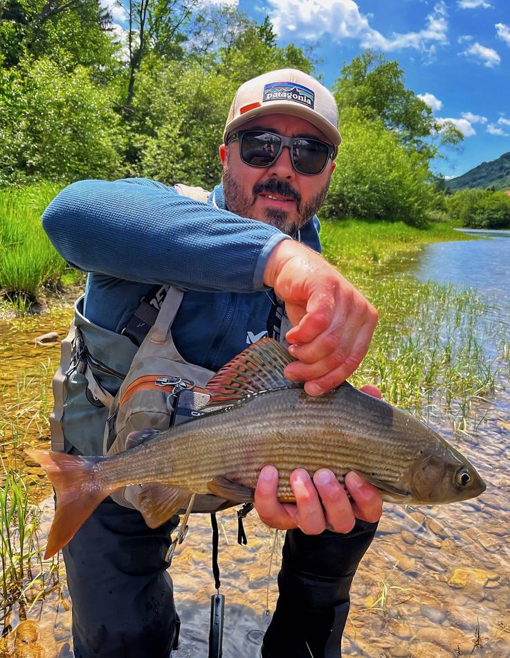A guest showing his grayling's colourful dorsal fin