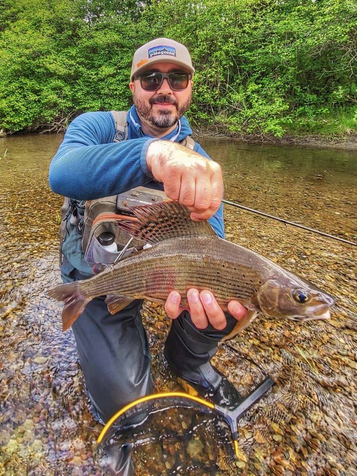 Grayling catch on the Lim