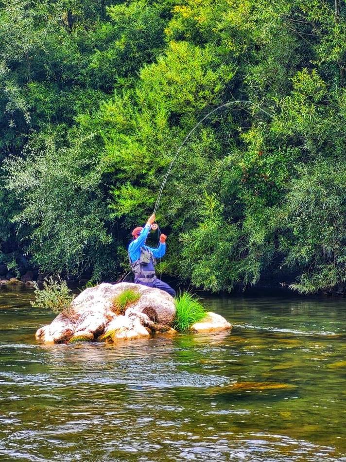 A day on the Lim