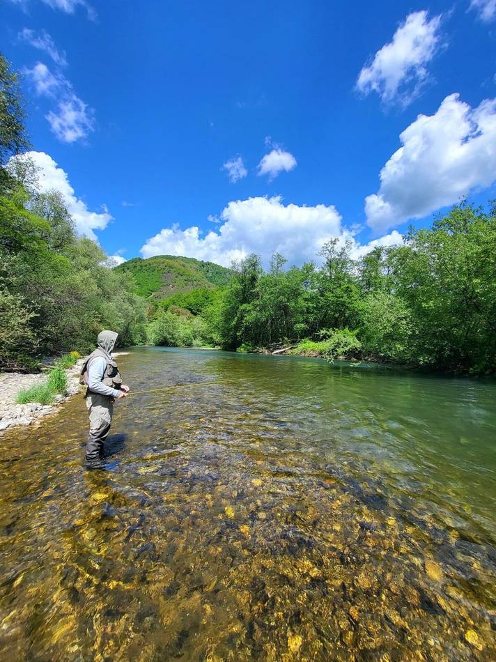 Working the currents of the Lim