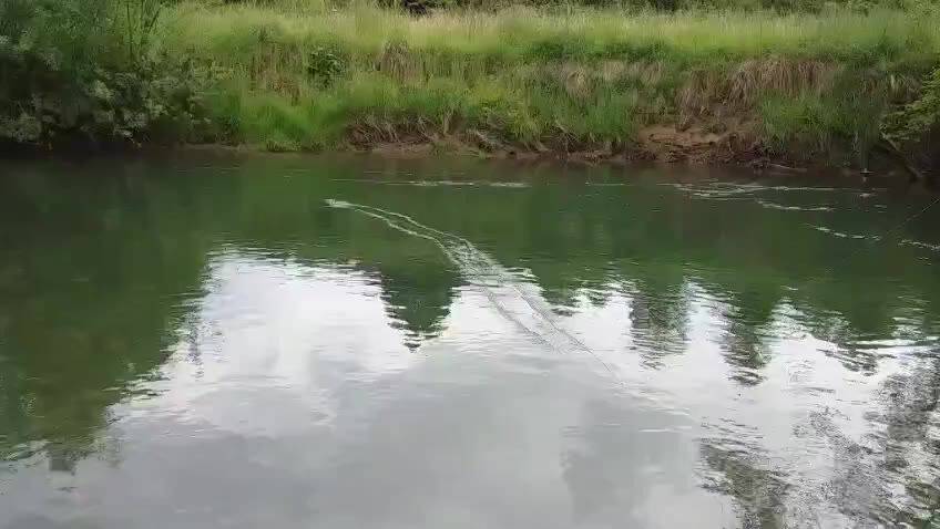 Fly fishing on the Lim — video