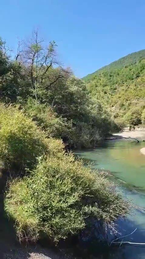 Fly fishing on the Ljuča — video