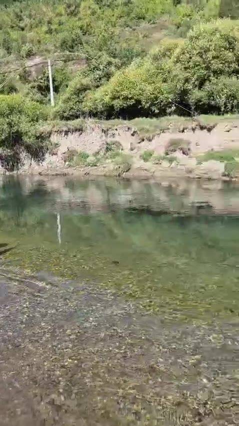 Fly fishing on the Ljuča — video