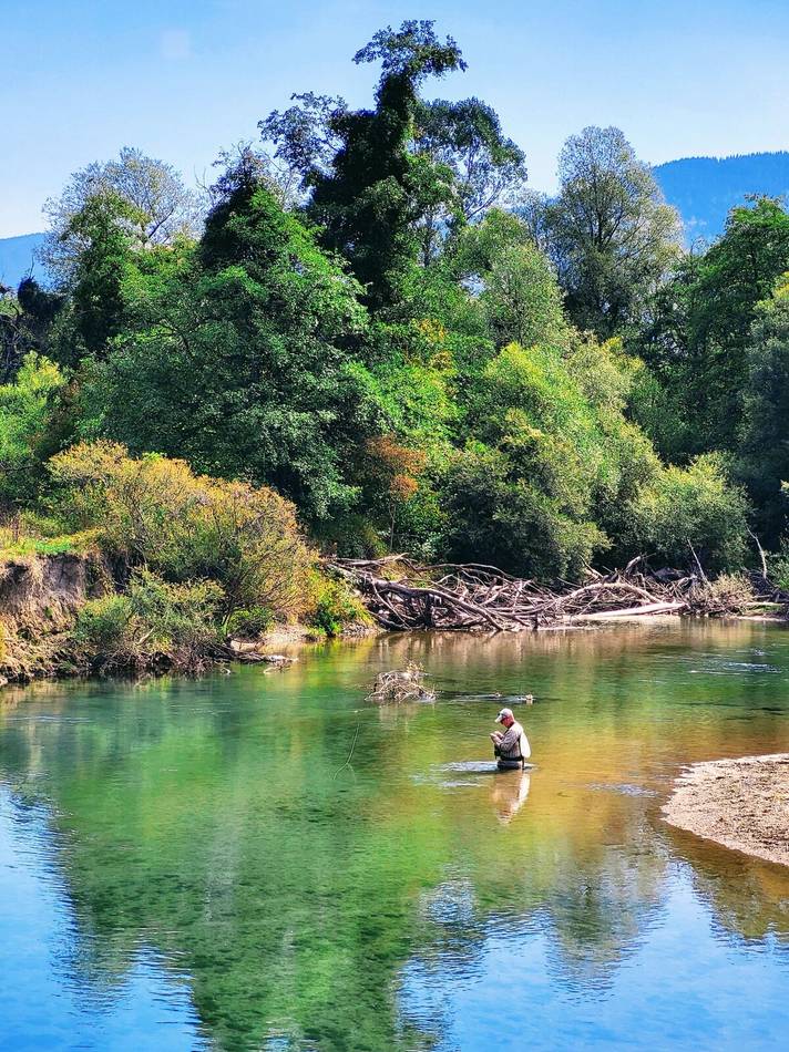 Fly fishing beneath driftwood on the Ljuča