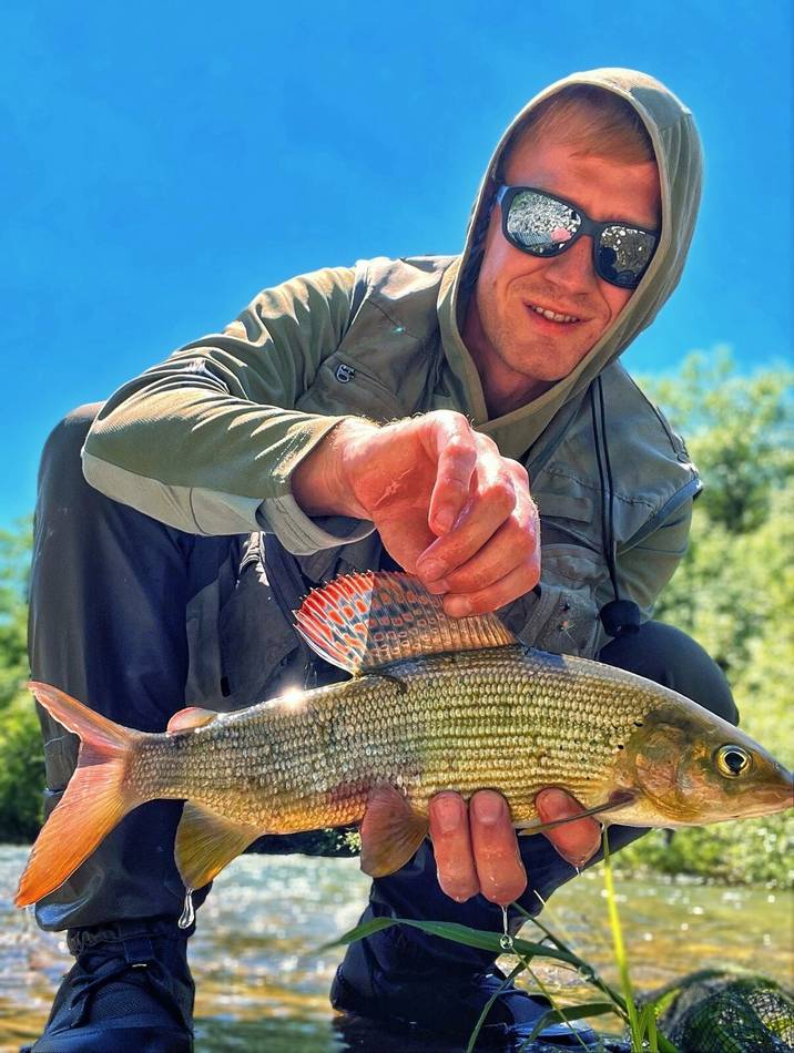 A grayling caught on the Ljuča