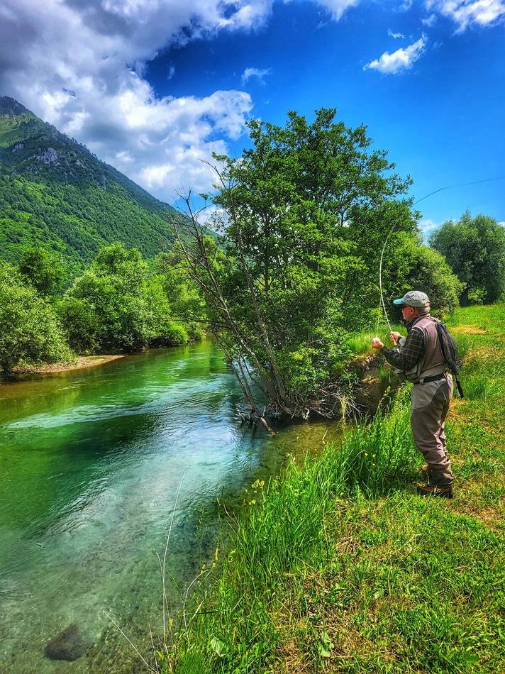 Casting beneath the willows