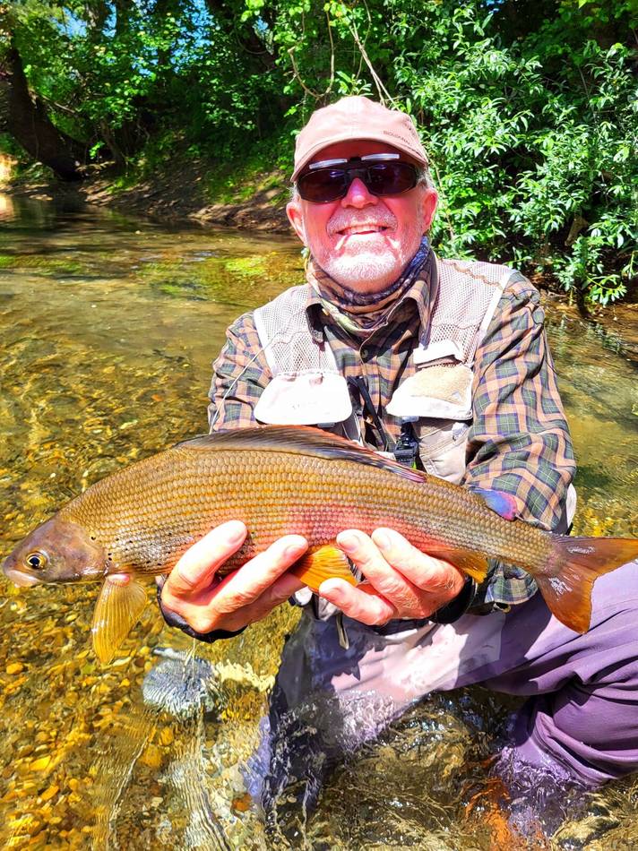 A grayling on the Ljuča
