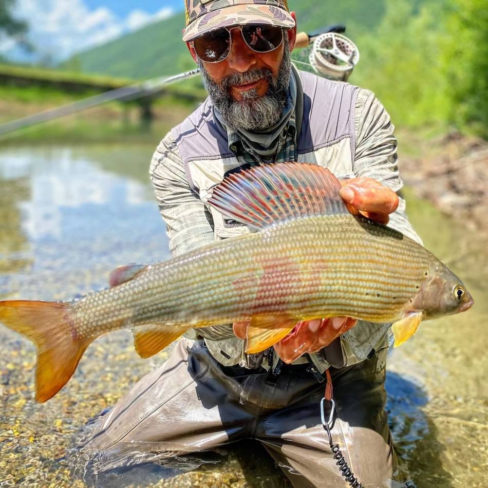 A grayling caught on the Ljuča