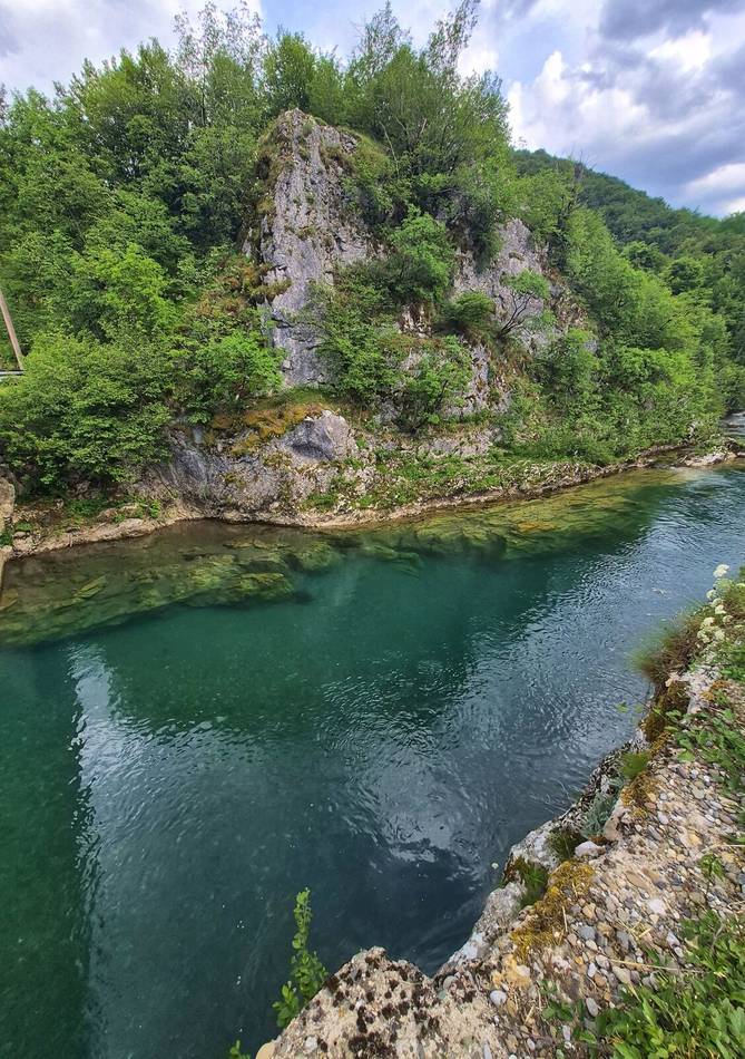 A quiet bend of the Tara