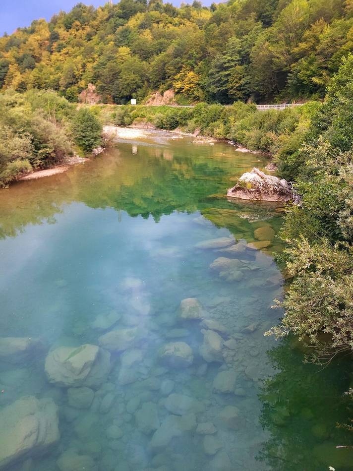 The Tara river in summer light