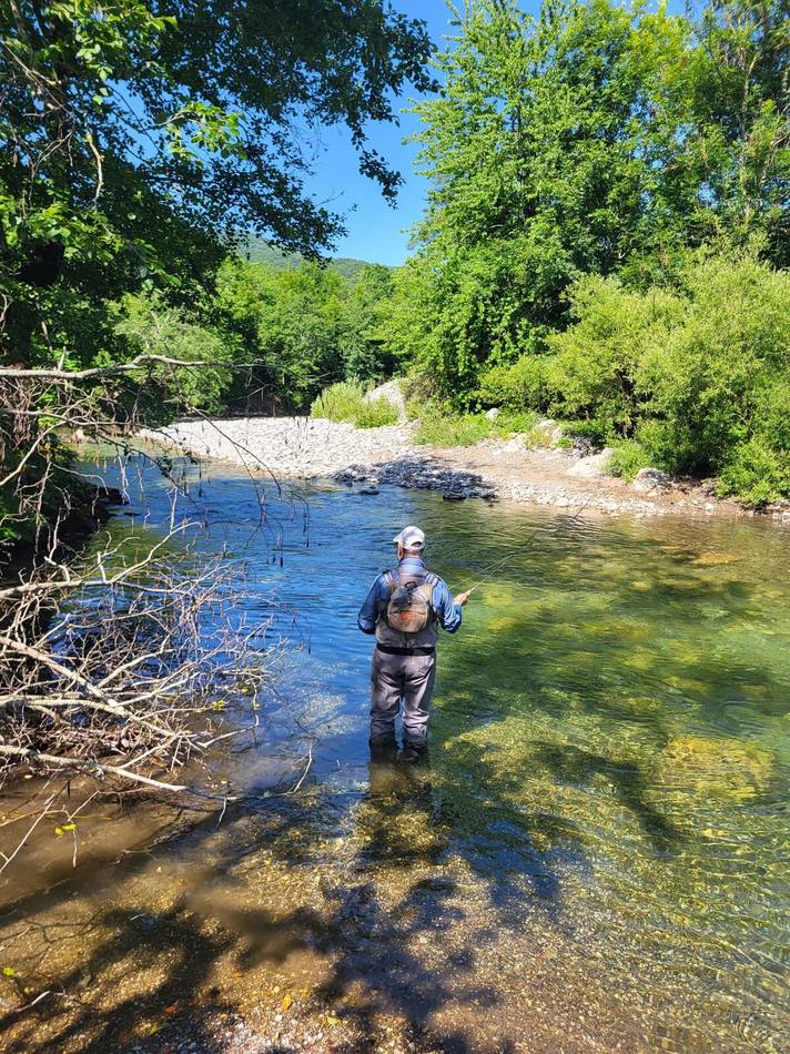 A brown trout released on the Tara