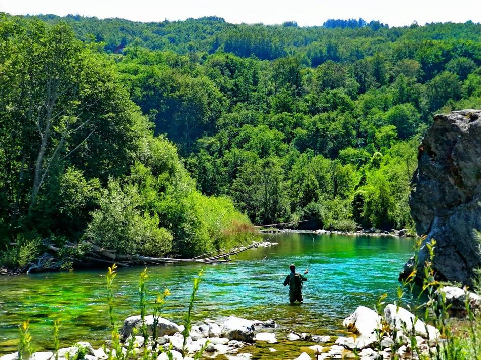 The forested Tara valley