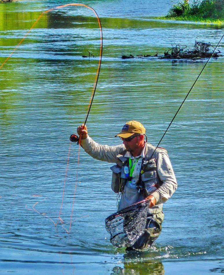 Netting a fish on the Tara