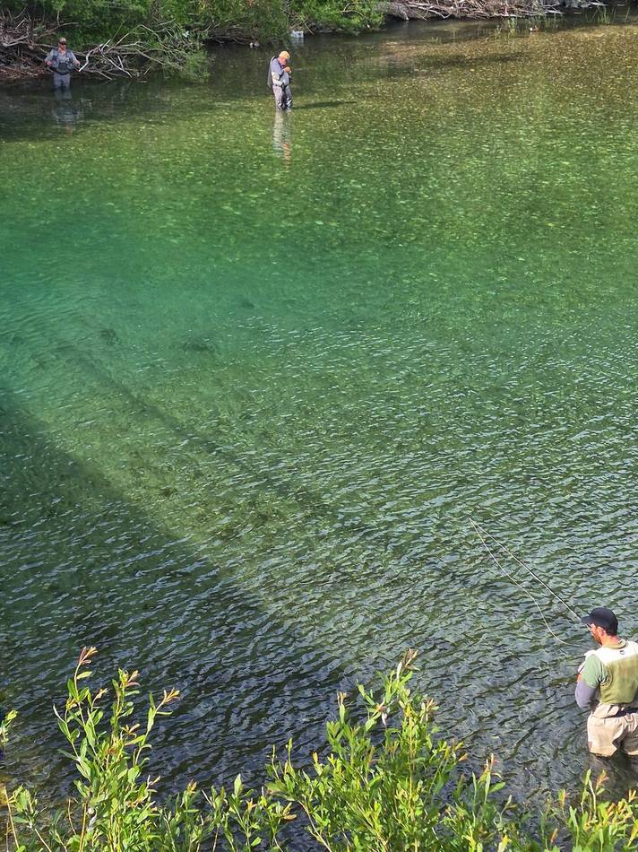 Anglers spread across a Tara pool