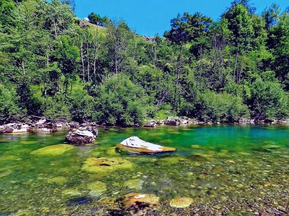 A quiet green pool on the Tara